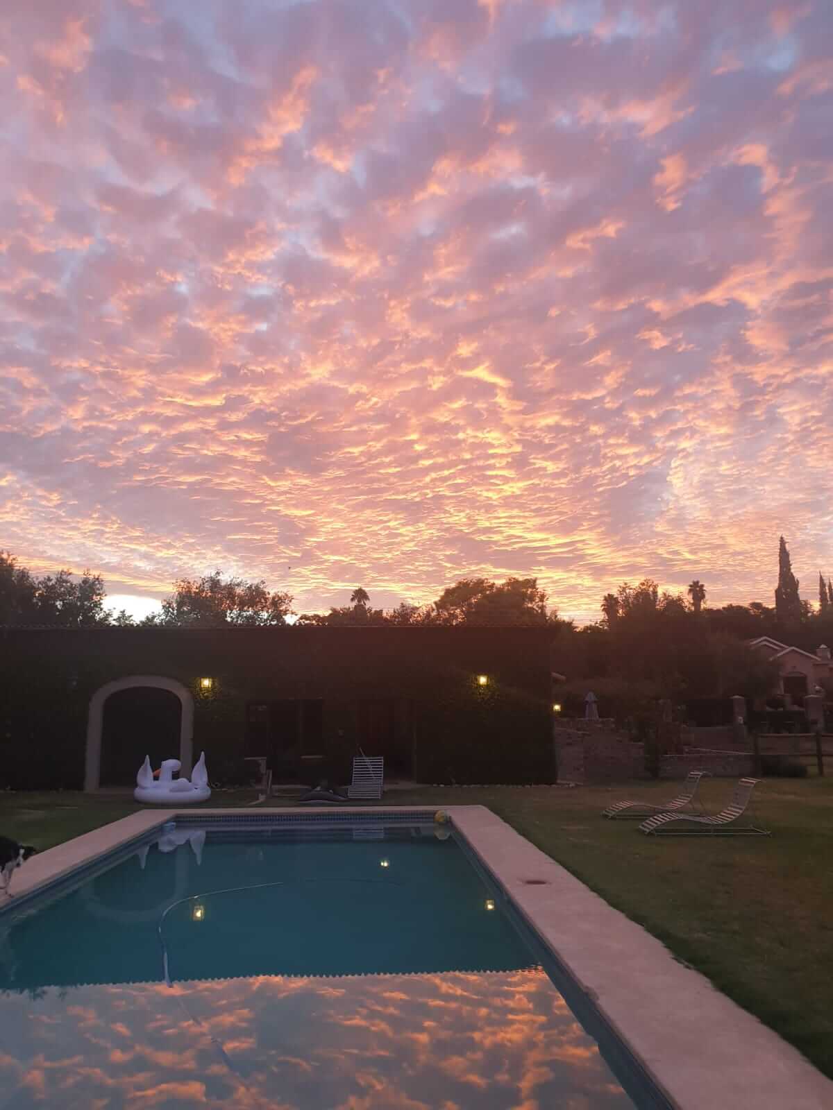 Pool view & pink clouds